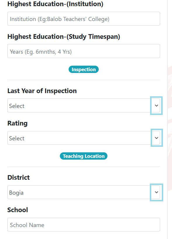 Professional Details B